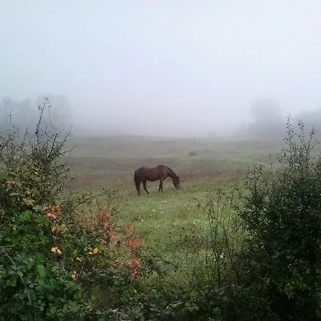 Chalet Casa Molinari *